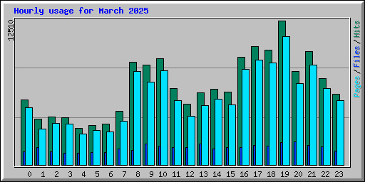 Hourly usage for March 2025
